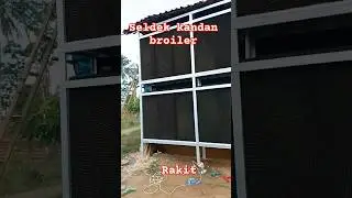 rakit seldek kandang close broiler #seldek  #selpet