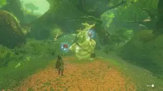 Zelda Breath Of The Wild expanding weapon and shield stash