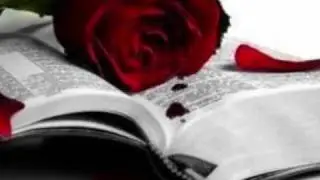 Chieli Minucci - Cause We've Ended As Lovers