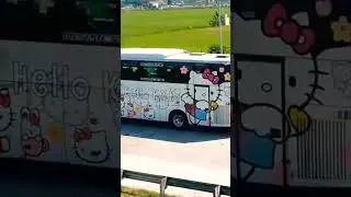BUS AKAP KYM TRANS‼️HELLO KITTY BUS‼️#shorts #busmania #huntingbus #kymtrans #legacy #hellokitty#bus