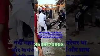 #hindubhagatsinghgaurakshak #hindu #viral #sonipat #reel #viralreels #rakshak #gausevak #gaurakshak