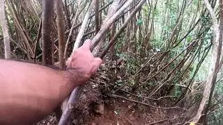 Cascade 500 Pieds Top to Bottom Hike Timelapse - Mauritius 07.11.20