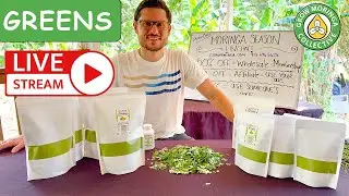 Super Green Moringa Powder | Local USA Harvest now in Season | Farm Fresh