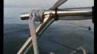Atlantic Rowing Race 1997 - shark