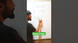 Обратное скрещивание в генетике
