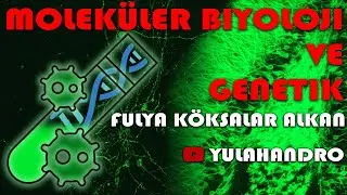 Kıronavayrus Muhabbetleri - 28 Molek&uuml;ler Biyoloji ve Genetik ft Fulya K&ouml;ksalar Alkan