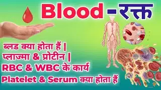 Human Blood in Hindi | RBC, WBC और Platelets क्या होते हैं? Human Blood Components in hindi | #blood