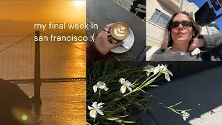 bye sf :( my last week in this beautiful city