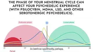 From SXSW 2025, Expanding Horizons: Women's Health & Psychedelics