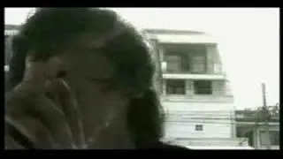 BRANDNEWSUNSET - crawling