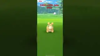 Catch A Ditto June 2022 - Updated - Pok&eacute;mon GO