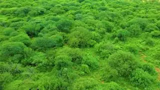 Hawdka Garoowe -Muuqaal Qurxoon -2023 | Nugal Valley |
