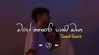 Mage Kathawe Panai Oya - මගේ කතාවේ පනයි ඔයා (Slowed+Reverb)