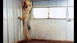 German Creepypasta - SCP-173 - Creep Out Folge 54 ( Deutsch / German )