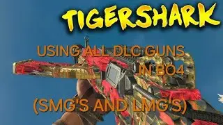 Using every DLC gun in multiplayer (part 3)