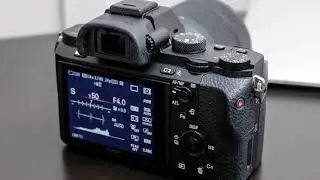 Sony Alpha A7 II Camera Review: Best Camera Ever