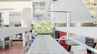 JERA TT conf Insalata in vaschette con coperchio/JERA TT salad packing in trays with lid