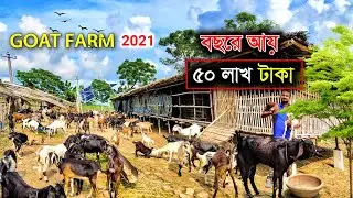 2021-এ Goat farm করে বছরে আয় ₹50 লাখ | goat farming | ছাগল পালন | goat farming in west bengal