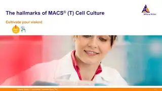 T cell culture - Fine-tuning your T cell research workflow step by step