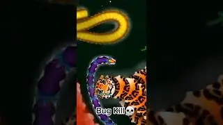 Bug Kill💀🌚 Wormax.io