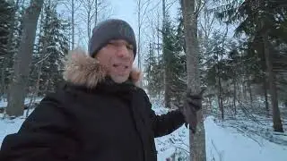 Два дня после Нового года: работа, Эспоо и лес