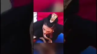 The girl is kissing the snake #shorts #youtube #viral #snake