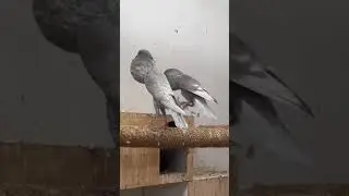 🤣
