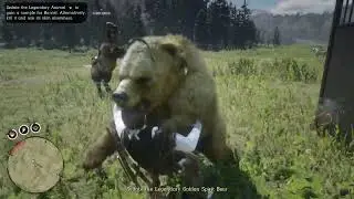 Becoming Bear Bait