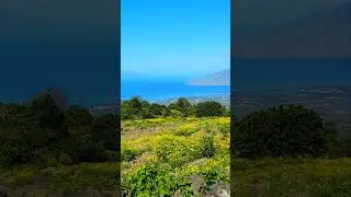 Beautiful upcountry hike with amazing ocean view