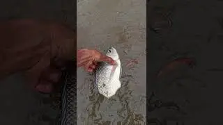 fishingtime... #funnyshort