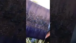 Crushed glass on canvas