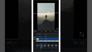 Fake Flying Bird Tutorial - VN #shorts #videoediting #vnvideoeditor #youtubeshorts #tutorial