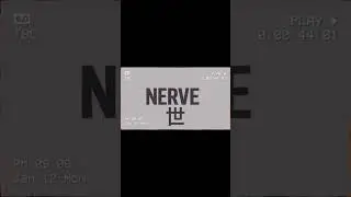 30秒で神経削るガールズ日本語メロコア /NERVE/Pacifista #NERVE#Pacifista#メロコア#日本語ロック#インディーズバンド好きな人と繋がりたい