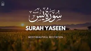 Surah Yaseen RECITATION CHALLENGE Can You Memorize it in 30 Days with Qari Alaa Aqel?