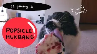 Popsicle mukbang asmr/ pov feeding a dog