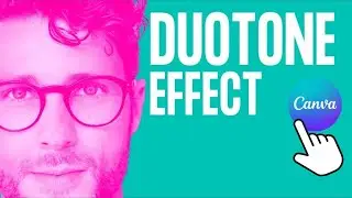 How To Use Duotone Effect In Canva (Full Guide)