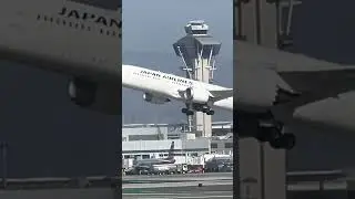 Japan Airlines Boeing 787-9 Taking Off From Los Angeles! #lax #boeing789