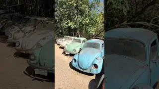 OLHA TODOS &Agrave; VENDA FUSCAS E PE&Ccedil;AS CARROS ANTIGOS SALVA FUSCA PIRACAIA #classiccars #aircooled #fusca