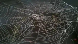 how to spray paint spider webs spray paint art secrets