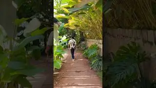 Exploring Varkala in the Rainy Season &ndash; Worth It? #varkala #shorts #ashortaday #rain #realitycheck