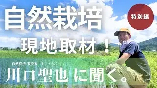 【自然栽培】無肥料・無農薬で奇跡の稲作！川口聖地に学ぶ米作りの