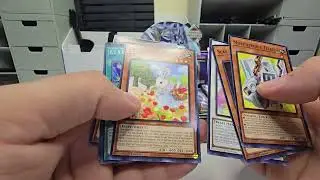 Yugioh Power Of The Elements Booster BOX 📦 opening