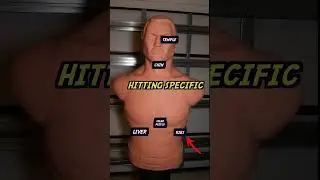 Century BOB punching dummy #boxing #punchingbag #kickboxing #boxingworkout #review #boxingtraining
