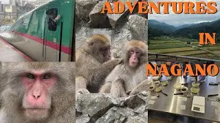Japan Ep 4 - Nagano | We Encounter Snow Monkeys | Oyaki | N&igrave;o Statues