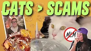 She Has Adorable Cats &mdash; and a Not-So-Adorable MLM 🧨 Reacting to Kayla from Team Fizz #bombparty