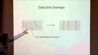 Natural Selection and Adaptation I