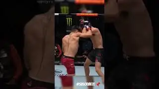 Ilia Topuria 🥊⚡ Pu&ntilde;os Limpios #ufc #shorts #ufclatino