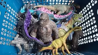 Hunting found,Godzilla,Jurassic world Dominion,mosasaurus, megalodon,kingkong,T-rex vs Godzilla,
