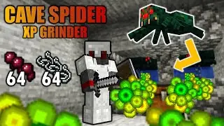 Just an EASY Tutorial on Cave Spider XP Grinder