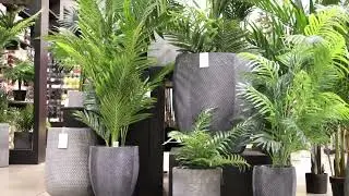 Magasin de plantes artificielles - D&eacute;cors V&eacute;ronneau, Laval